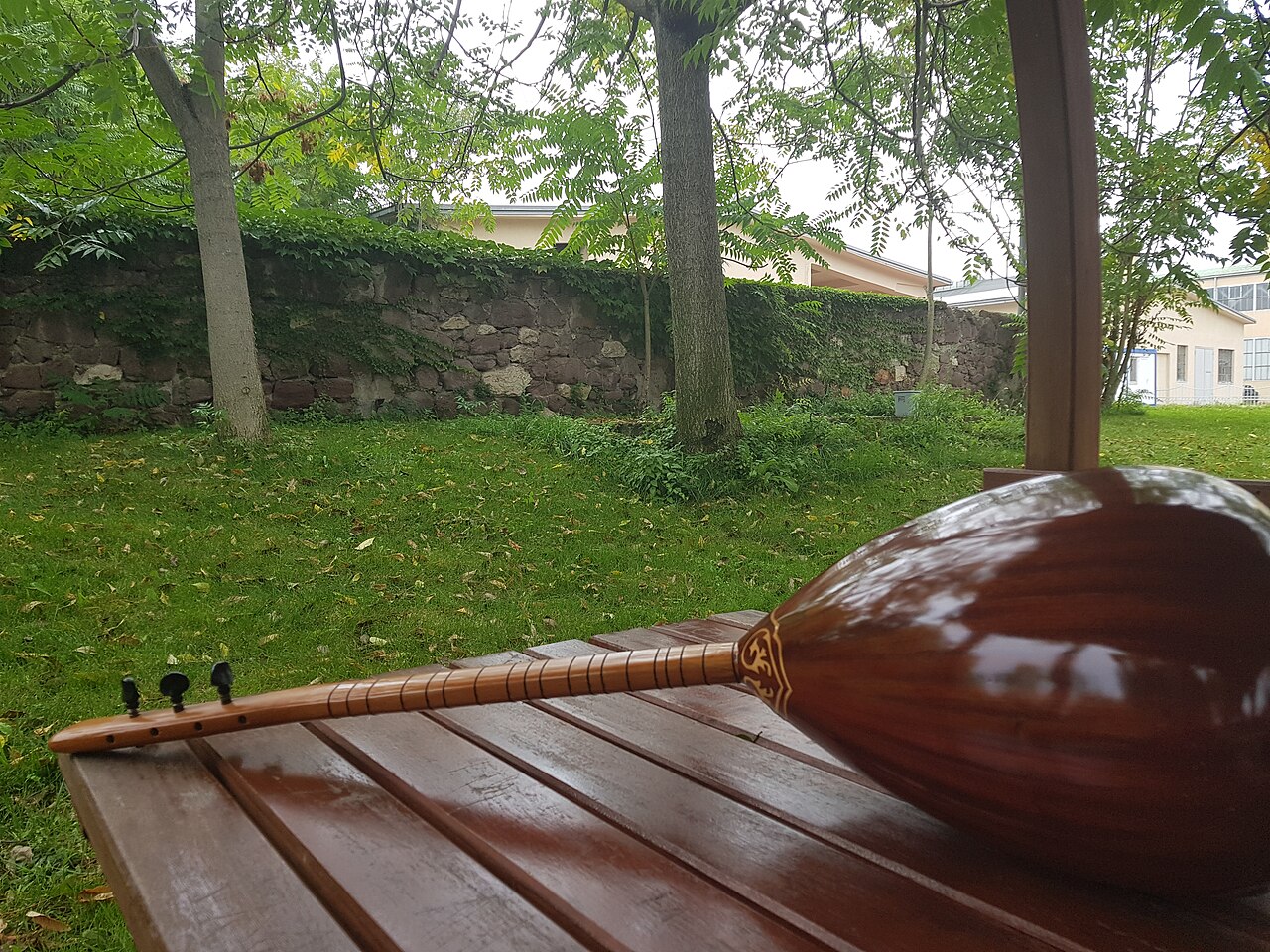 https://demirsanatakademi.com.tr/wp-content/uploads/2026/06/baglama-detay.jpg